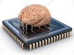 15753033-Human-brain-and-computer-chip-3D-concept-Stock-Photo-memory111111111
